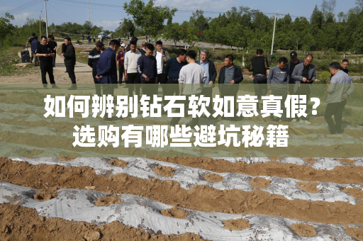 如何辨别钻石软如意真假？选购有哪些避坑秘籍